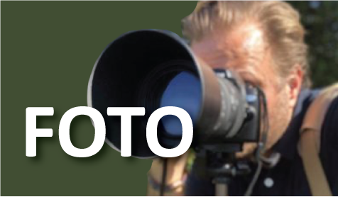 Fotografie